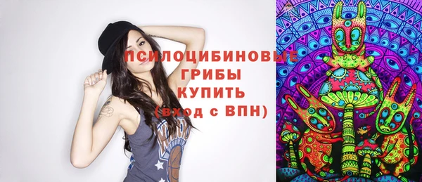 соль ск Бронницы