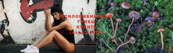соль ск Бронницы